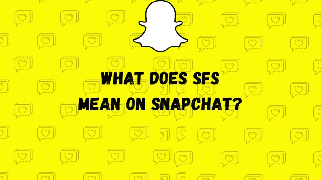 스냅챗에서 SFS는 무엇을 의미하나요?