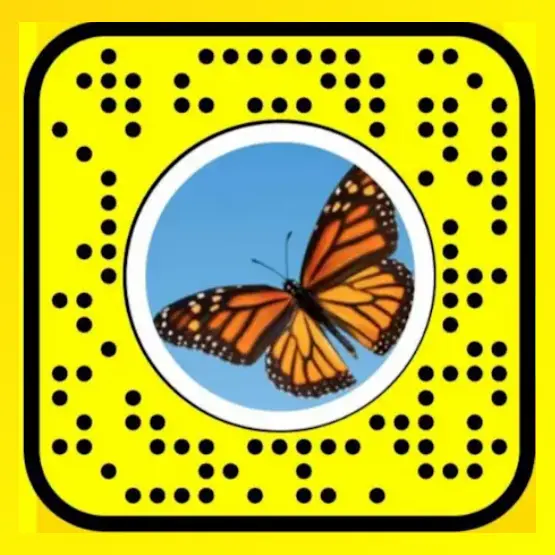 sommerfugllinse snapcode